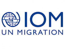 МОМ консультируют мигрантов по вопросам возвращения
